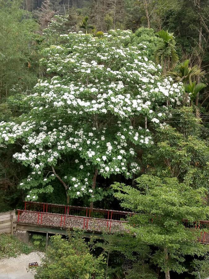 Dingdai Cherry Blossoms Resort Nantou Exterior photo