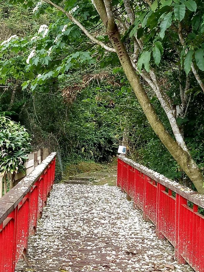 Dingdai Cherry Blossoms Resort Nantou Exterior photo